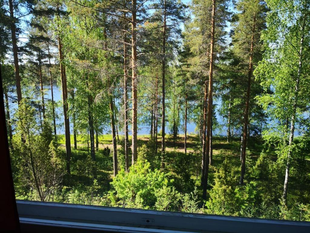 Saimaa Lakeland Fisherman'S Village 사본린나 외부 사진